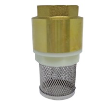 Válvula Fundo de Poço com Tela Inox