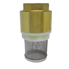 Válvula Fundo de Poço com Tela Inox